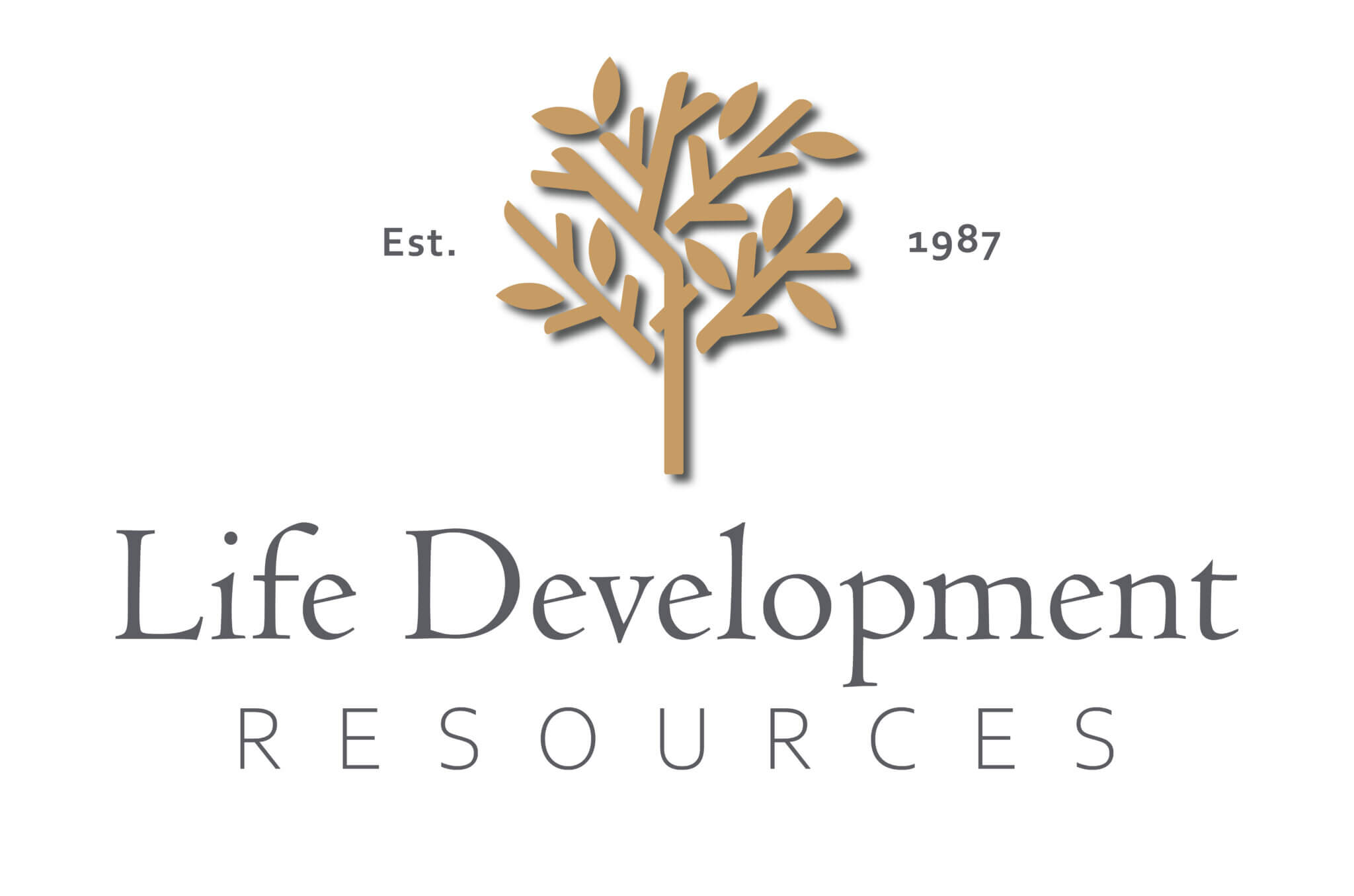 Life Development Resources St. Paul - FastTrackerMN
